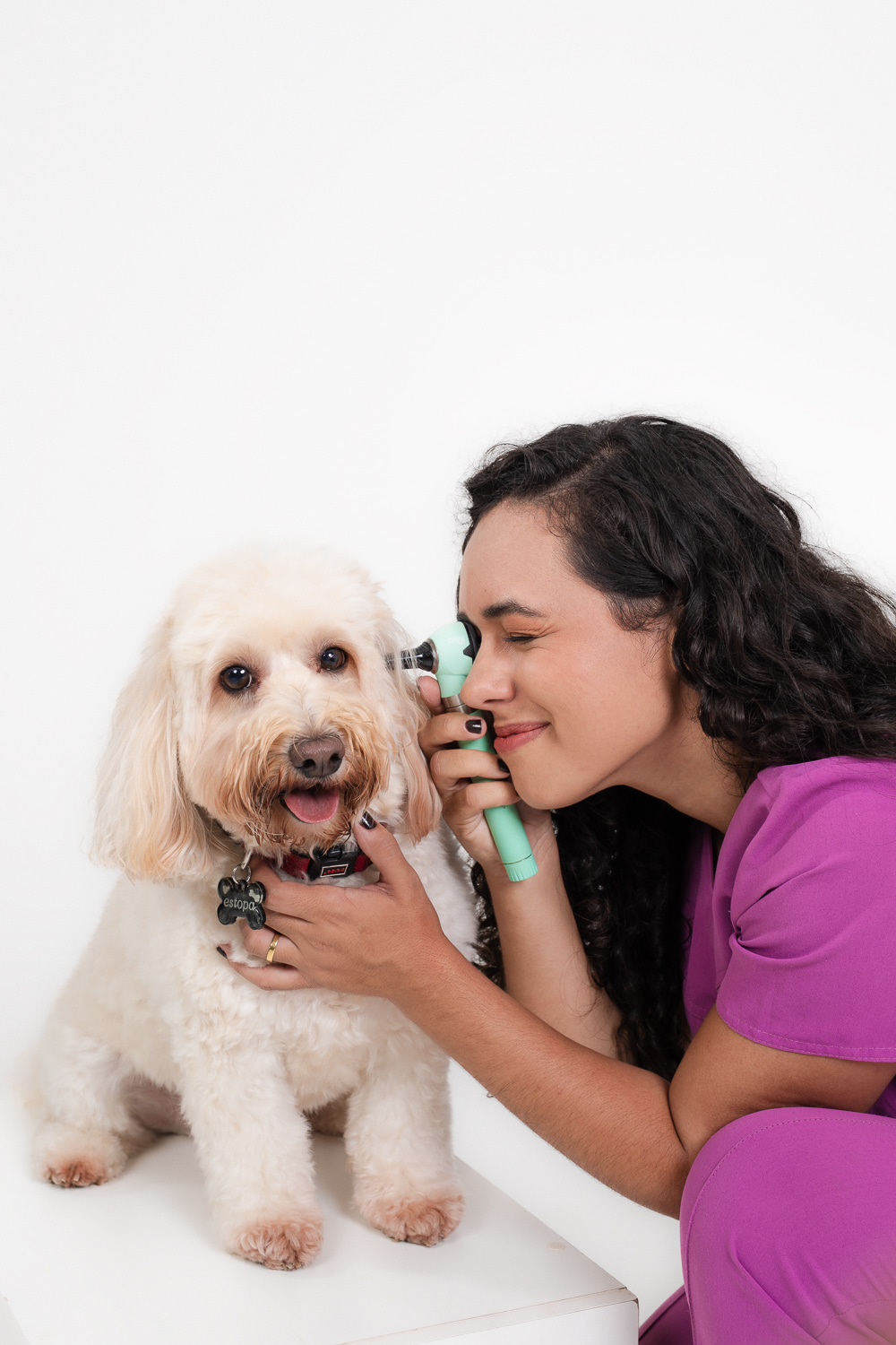 Dra. Natália Cavalcante realizando exame clínico em cachorro
